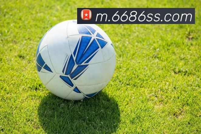 未来规划